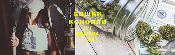 ПСИЛОЦИБИНОВЫЕ ГРИБЫ Медвежьегорск