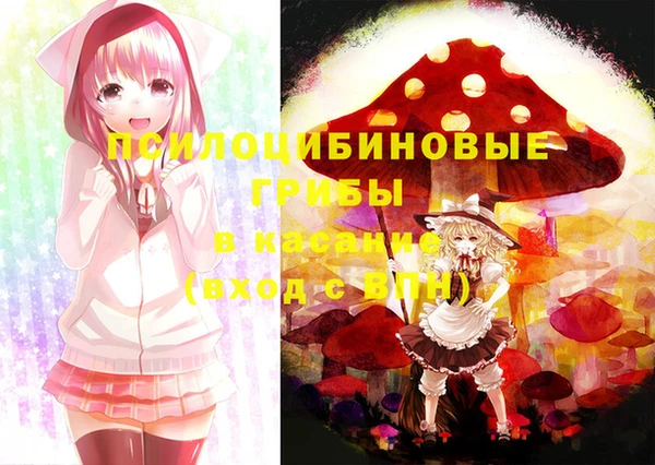 ПСИЛОЦИБИНОВЫЕ ГРИБЫ Медвежьегорск