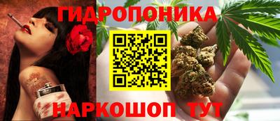 стаф Коммунар
