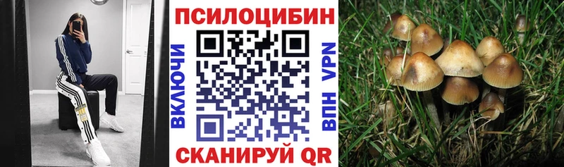 Псилоцибиновые грибы Psilocybe  Урай 