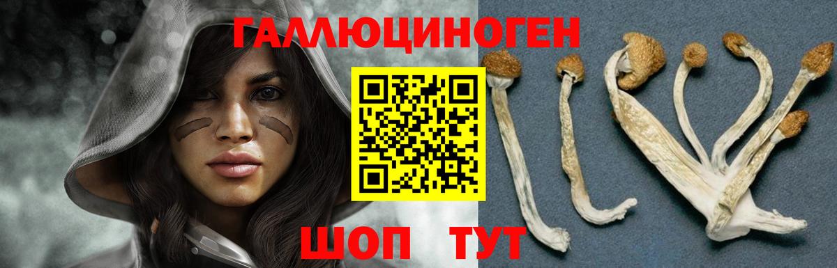 Псилоцибиновые грибы Cubensis Урай