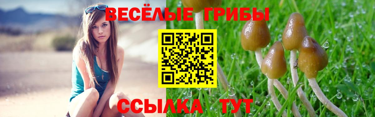 Галлюциногенные грибы Psilocybine cubensis  Вход с VPN  сколько стоит  Урай 